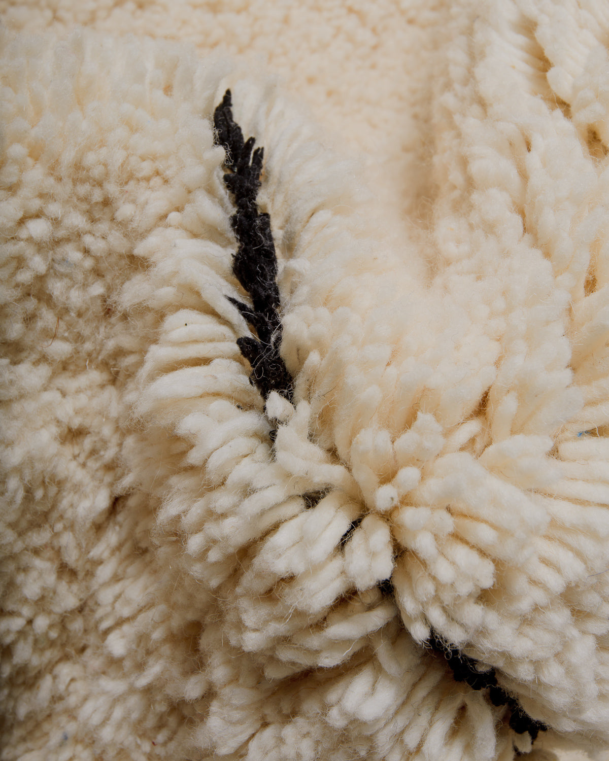 Close-up of a fluffy cream wool with a black line running through it