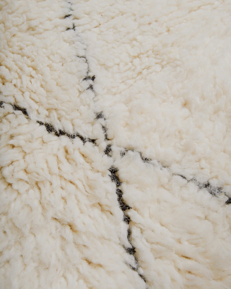 Surface of cream wool rug with black accents. 