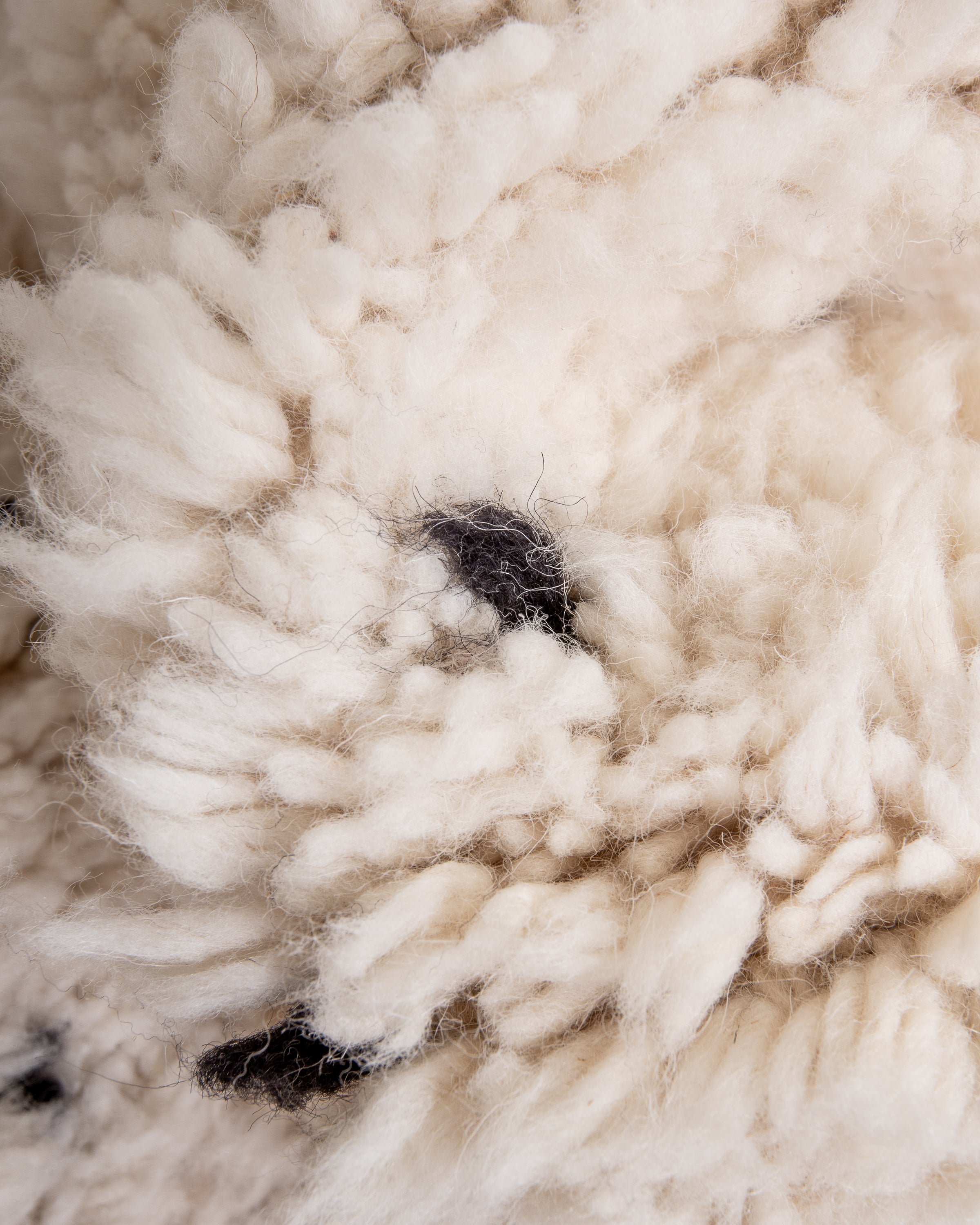 Modern designer handcrafted Berber rug from morocco Beniourain with beautiful colors and patterns